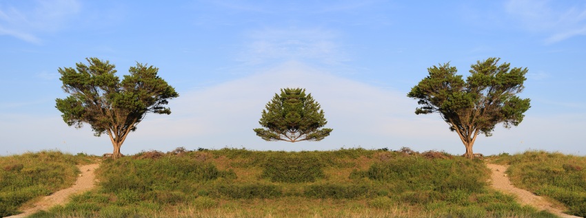 Click to view larger Photo